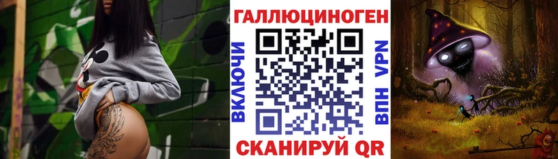 хочу   Порхов  Псилоцибиновые грибы Psilocybe 
