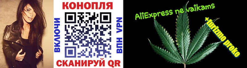 Шишки марихуана OG Kush Порхов